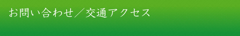 ₢킹^ʃANZX